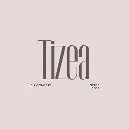Tizea Hair.Concept