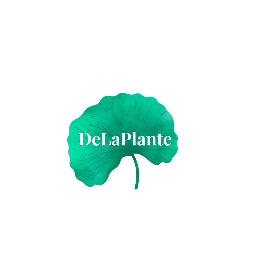 DeLaPlante Retreat Pula